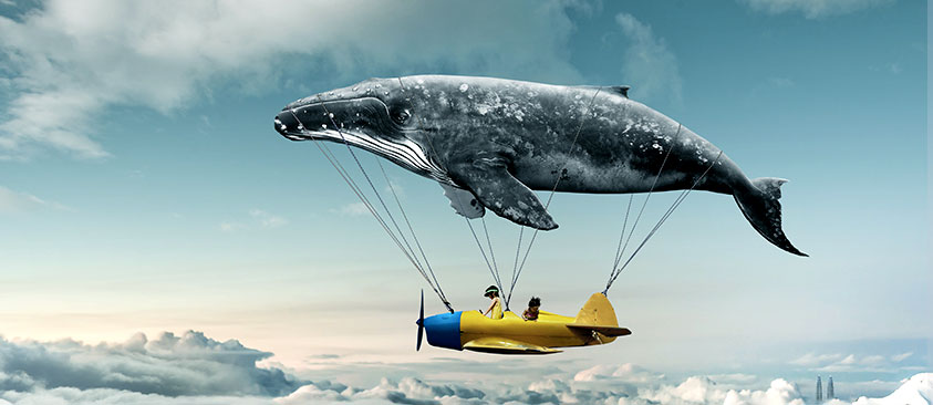 Du 1er au 15 décembre, tentez de remporter votre site internet avec Digitom.