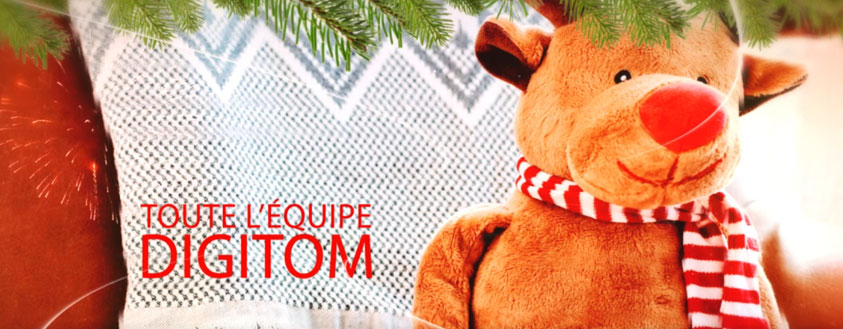 Digitom vous souhaite de Bonnes Fêtes en Vidéo