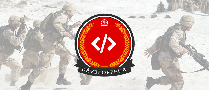 L’armada d’une agence digitale #3 Le développeur