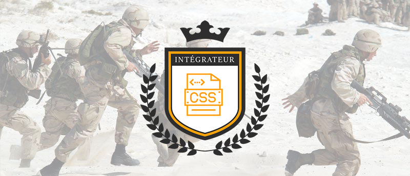 L’armada d’une agence digitale #4 L’intégrateur