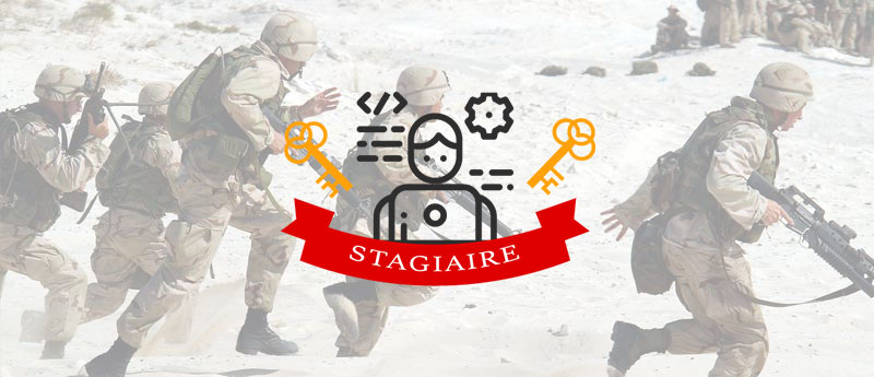 L’armada d’une agence digitale #8 Le stagiaire