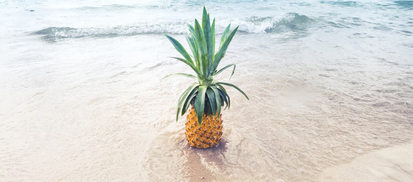 Digital et tourisme dans les DOM