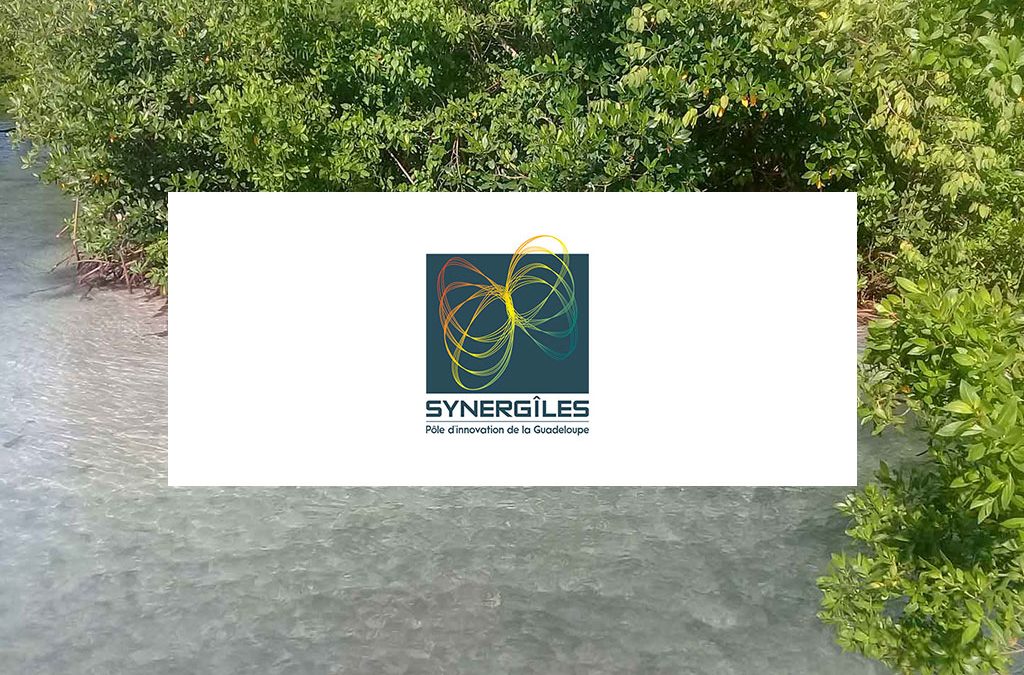 Synergiles